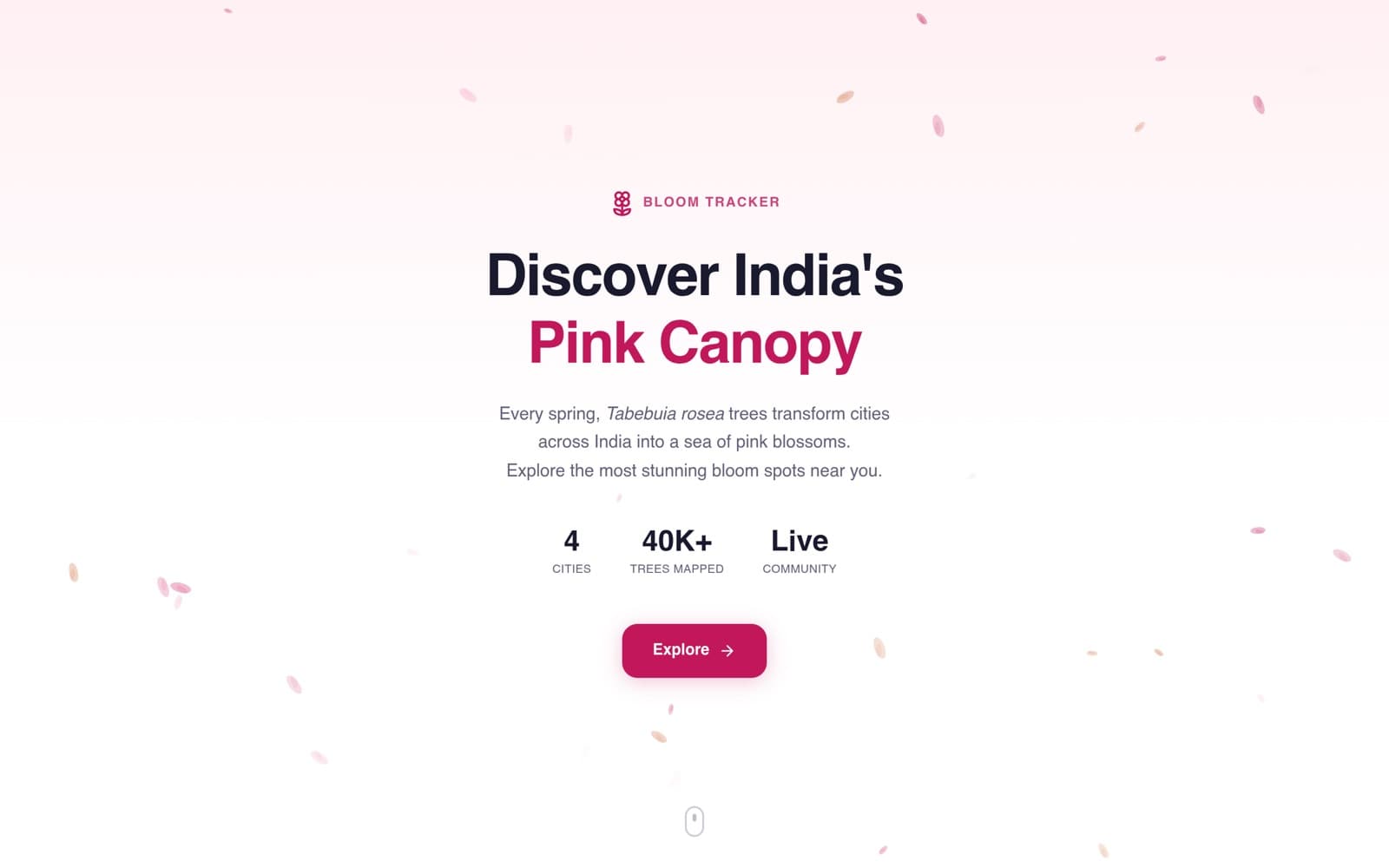 Bloom Tracker